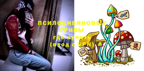 твердый Касимов