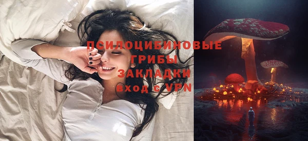 прущие грибы Карталы