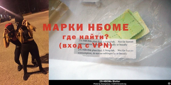 прущие грибы Карталы
