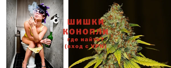 прущие грибы Карталы