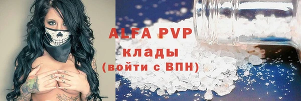 прущие грибы Карталы