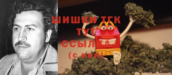 прущие грибы Карталы