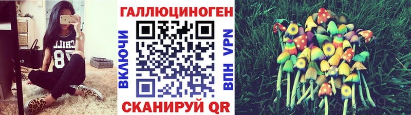 Псилоцибиновые грибы Psilocybine cubensis  Купить где  Калтан 